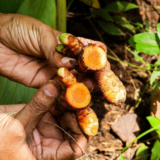 Health Benefits Of Turmeric