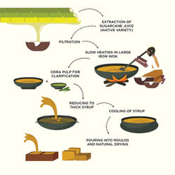 Diagram illustrating the jaggery-making process. It begins with sugarcane stalks being pressed to extract juice, which is then filtered. Okra pulp is added for clarification. The juice is slowly heated in a large iron wok over a fire, reducing it to a thick syrup. The syrup is then cooled and poured into moulds for natural drying, resulting in blocks of jaggery. Arrows and text labels clearly indicate each step of the process.