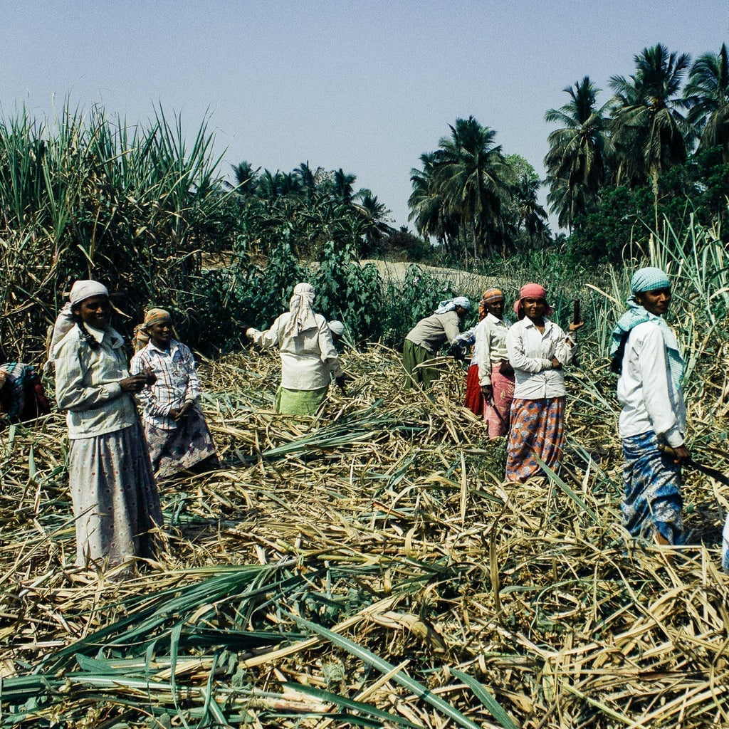 Jaggery vs Sugar: The Healthy Sweetness Battle